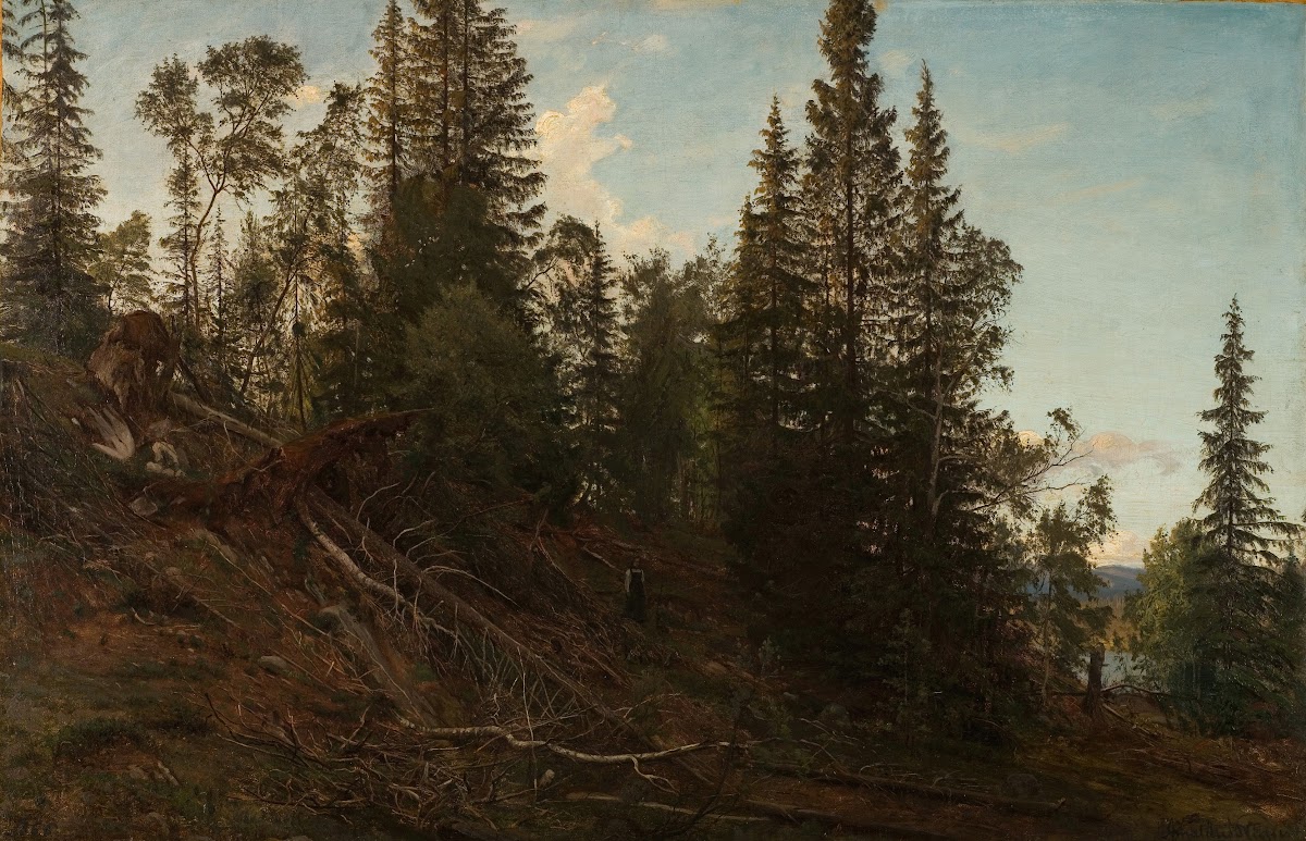 Vingeråsheia Telemark 1866