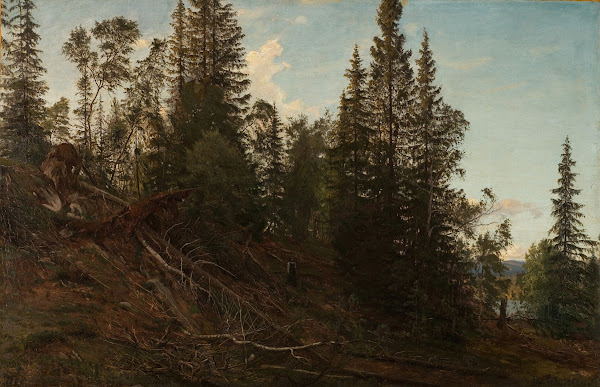 Vingeråsheia Telemark 1866