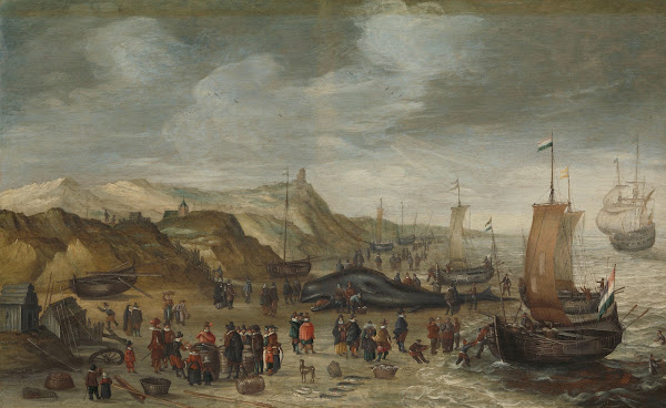 A Sperm Whale Washed up on the Beach at Noordwijk 28 December 1614 1614   1626
