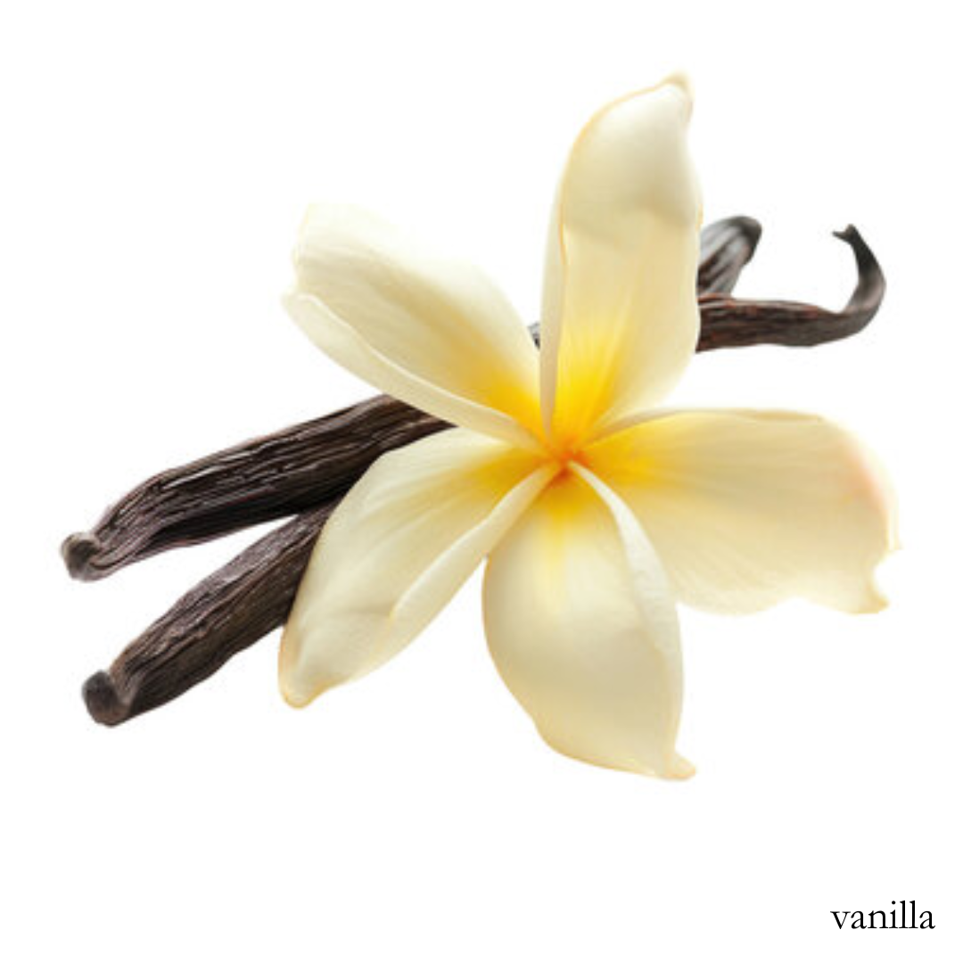 Vanilla
