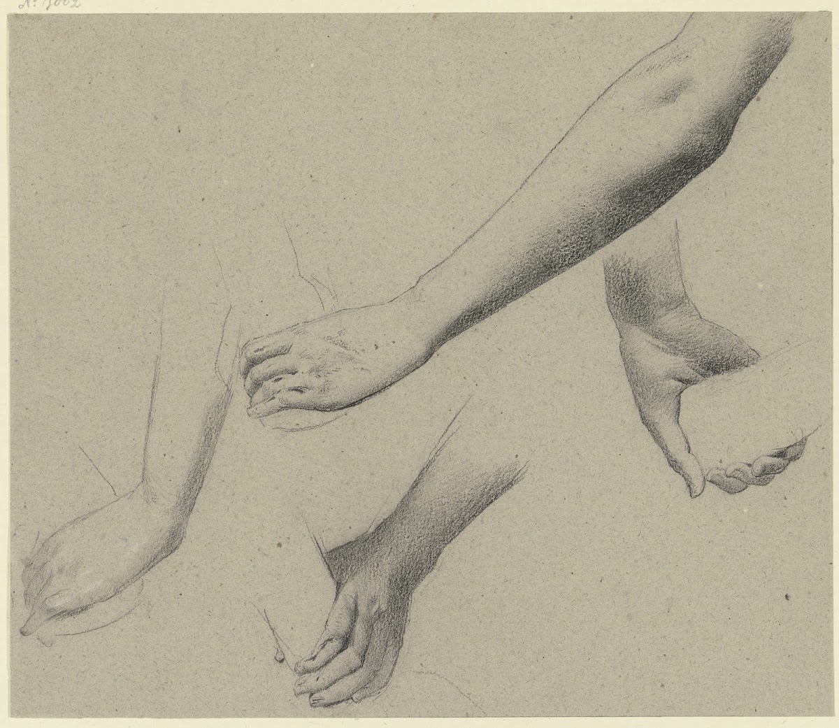 Studies of arms and hands 1844