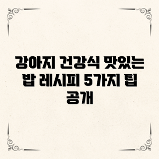 강아지식사시간, 건강한 강아지 밥, 초보자 강아지 사료, 강아지 식사 습관, 강아지 영양 관리