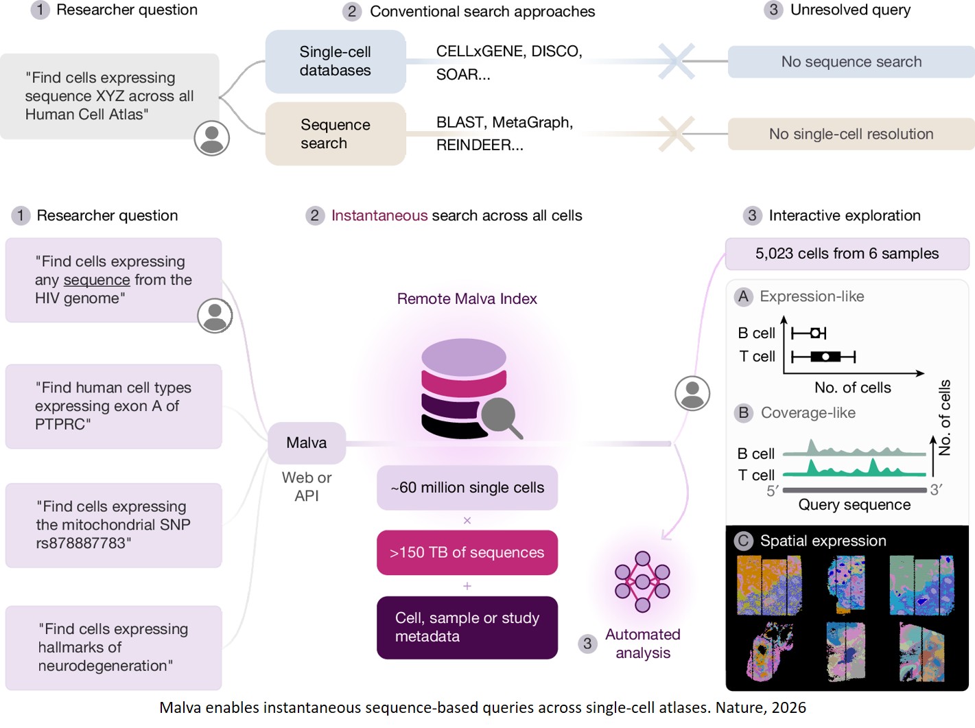 Ultrafast and reference-free sequence discovery in single-cell data