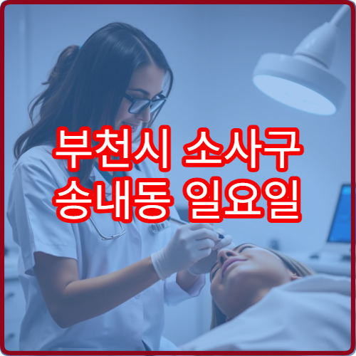 부천시 소사구 송내동 일요일 재활의학과 허리 물리치료