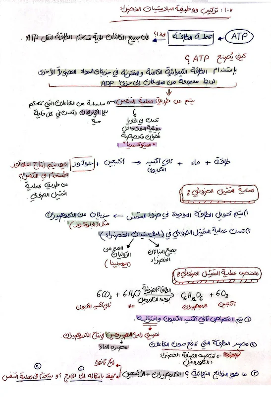 صورة الغلاف