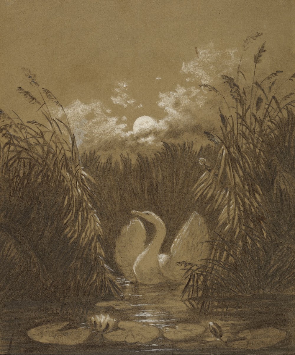 A Swan Among the Reeds by Moonlight 1852