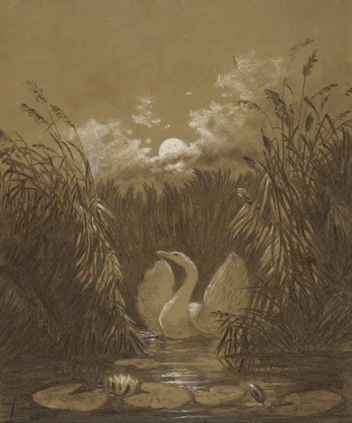 A Swan Among the Reeds by Moonlight 1852