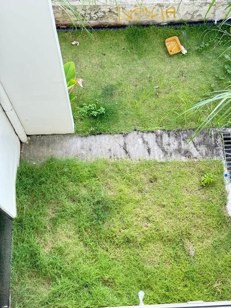 Exterior view of property