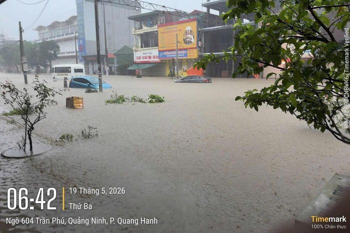 Cảnh nước lũ 'nuốt chửng' đường phố, ôtô ngập gần tới nóc ở Quảng Ninh - Tạp chí Tri thức