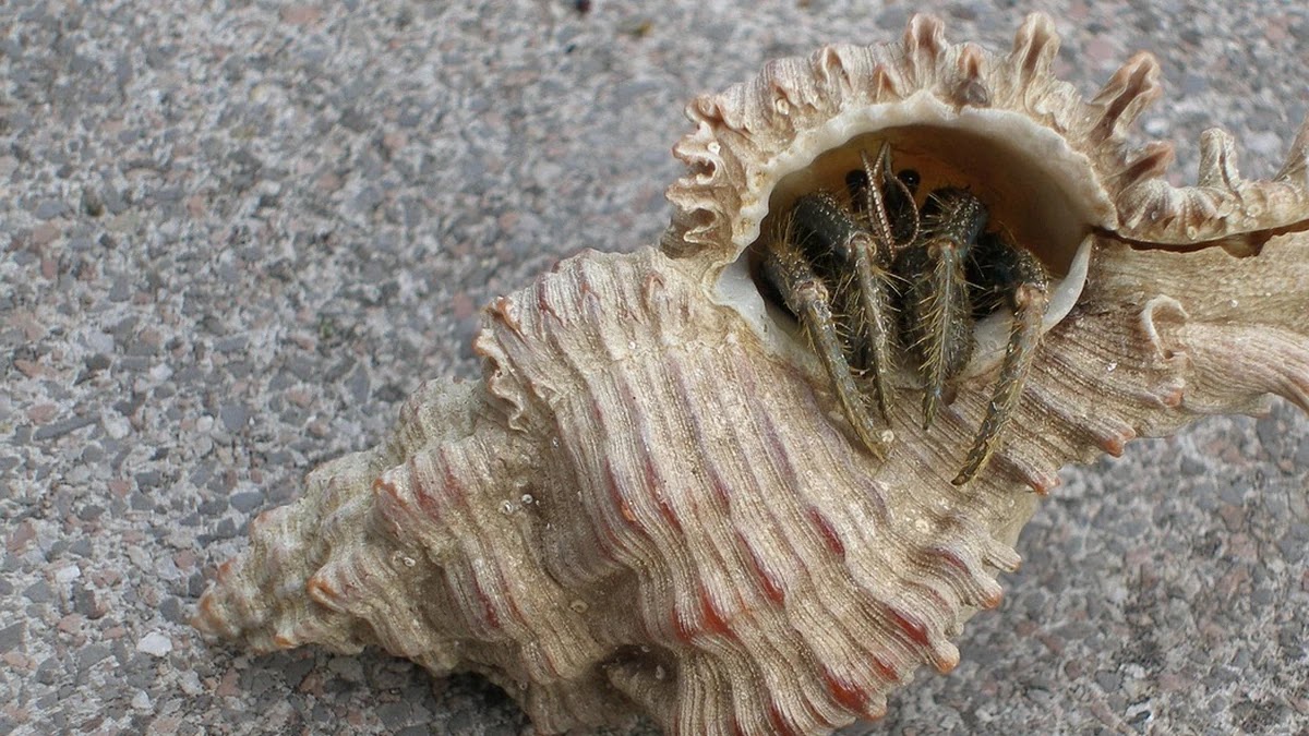 임대차 계약 종료 후 원상복구 기준과 분쟁 예방 방법