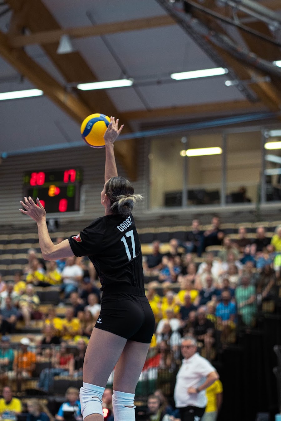 Sweden Hungary 252