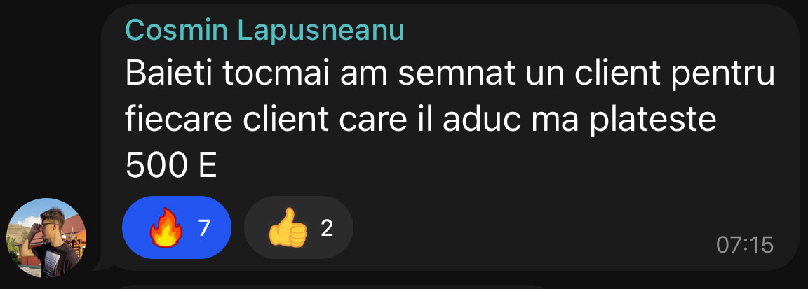 Rezultat #246