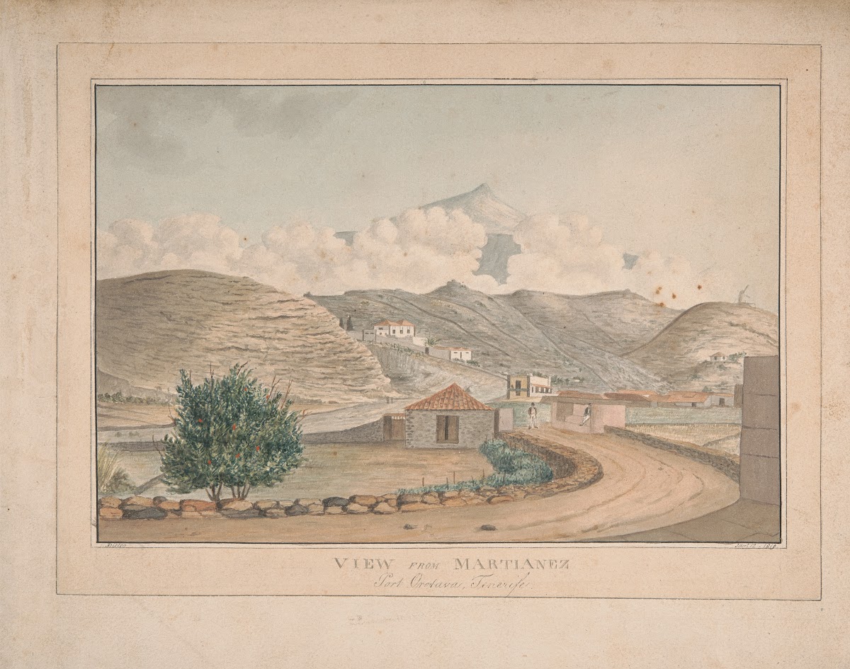 View from Martianez Port Orotava Tenerife 1819