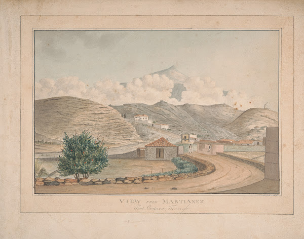 View from Martianez Port Orotava Tenerife 1819