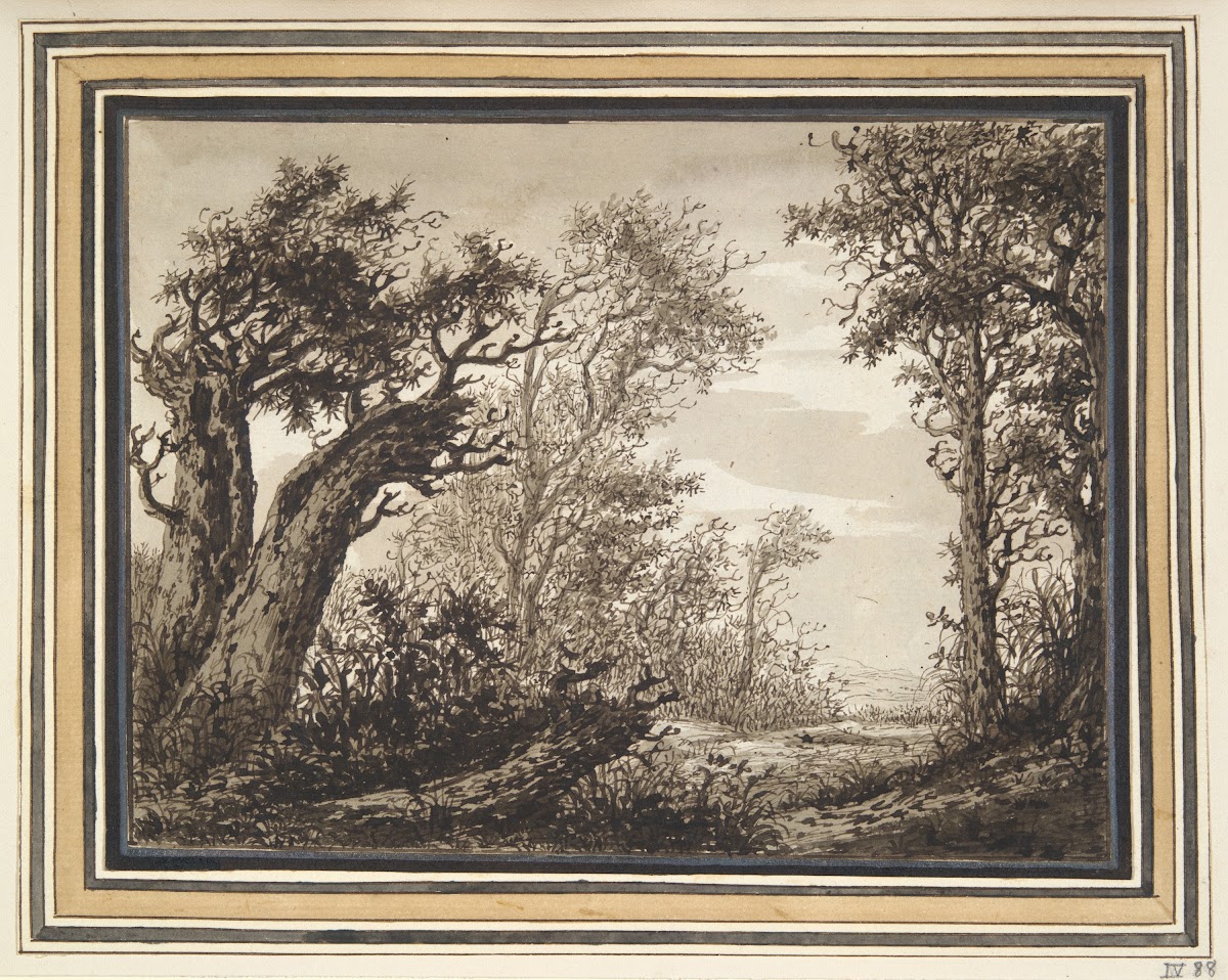 WoodyLandscape 17thcentury