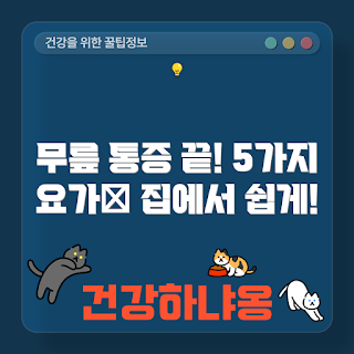무릎 통증 요가, 무릎 통증 완화, 요가 동작, 무릎 강화 운동, 홈 요가