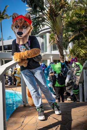 furdu-03895.jpg
