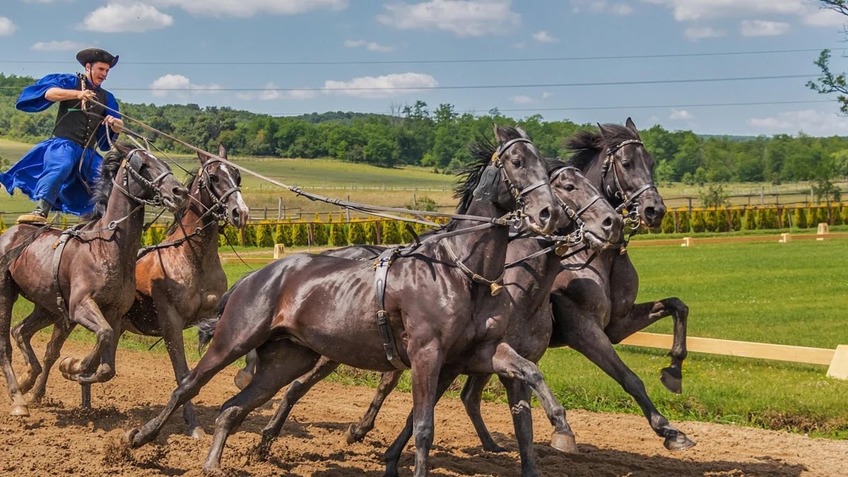 역사 속 오해된 사건과 진실, 왜곡된 상식 바로잡기