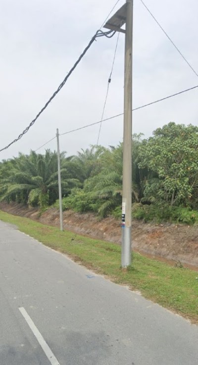 Tanah Pertanian Olak Lempit 2.9 Ekar — foto 4/8