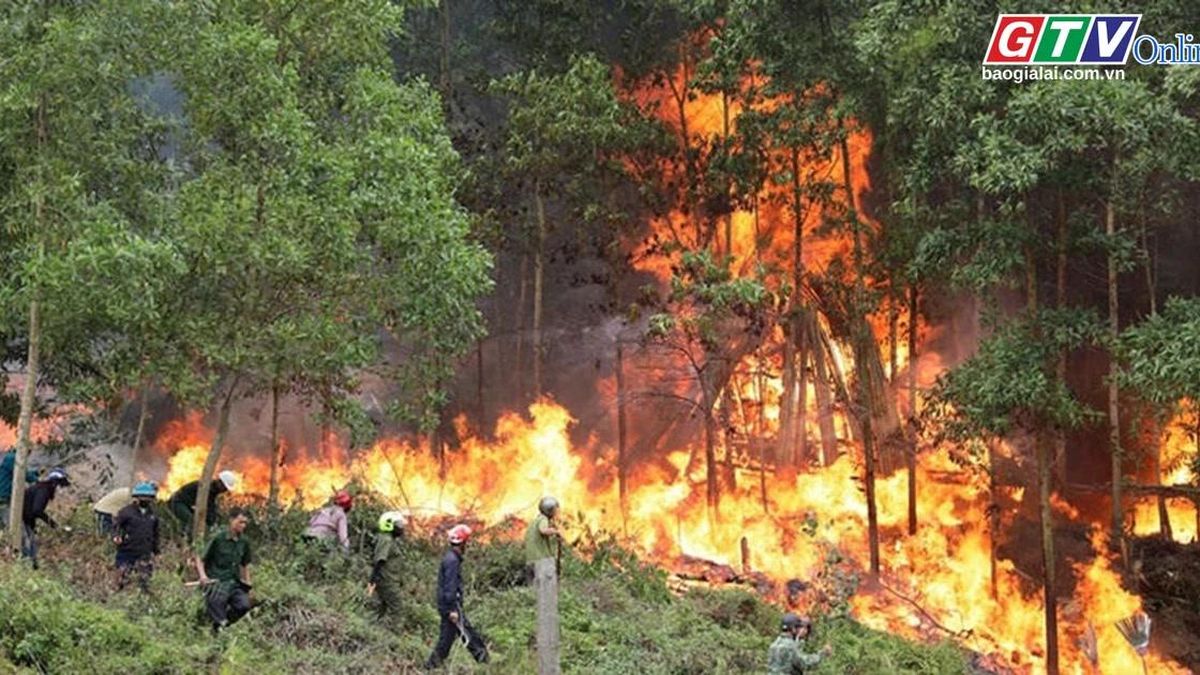 Điểm tin trưa: Thủ tướng chỉ đạo triển khai cấp bách các biện pháp phòng cháy, chữa cháy rừng - Báo Gia Lai