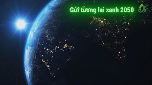 Video thumbnail từ Google Drive