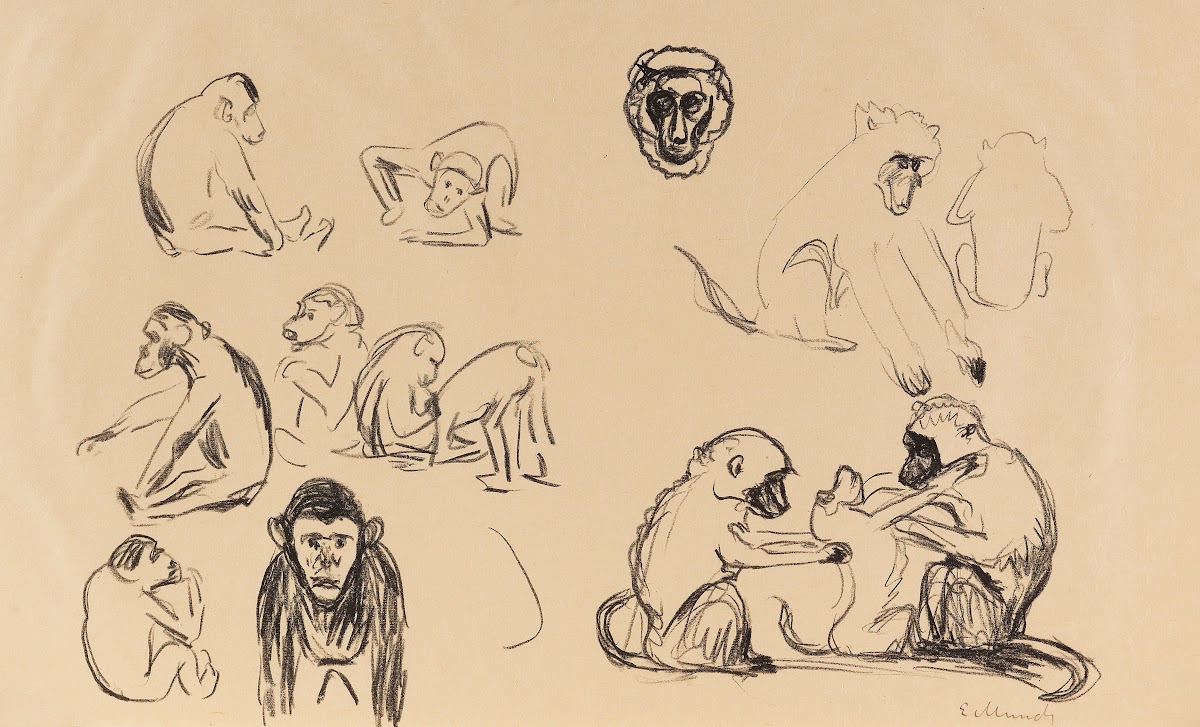 Affen I und II 1908