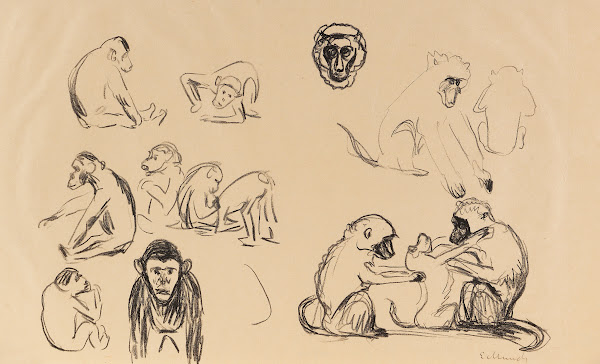 Affen I und II 1908