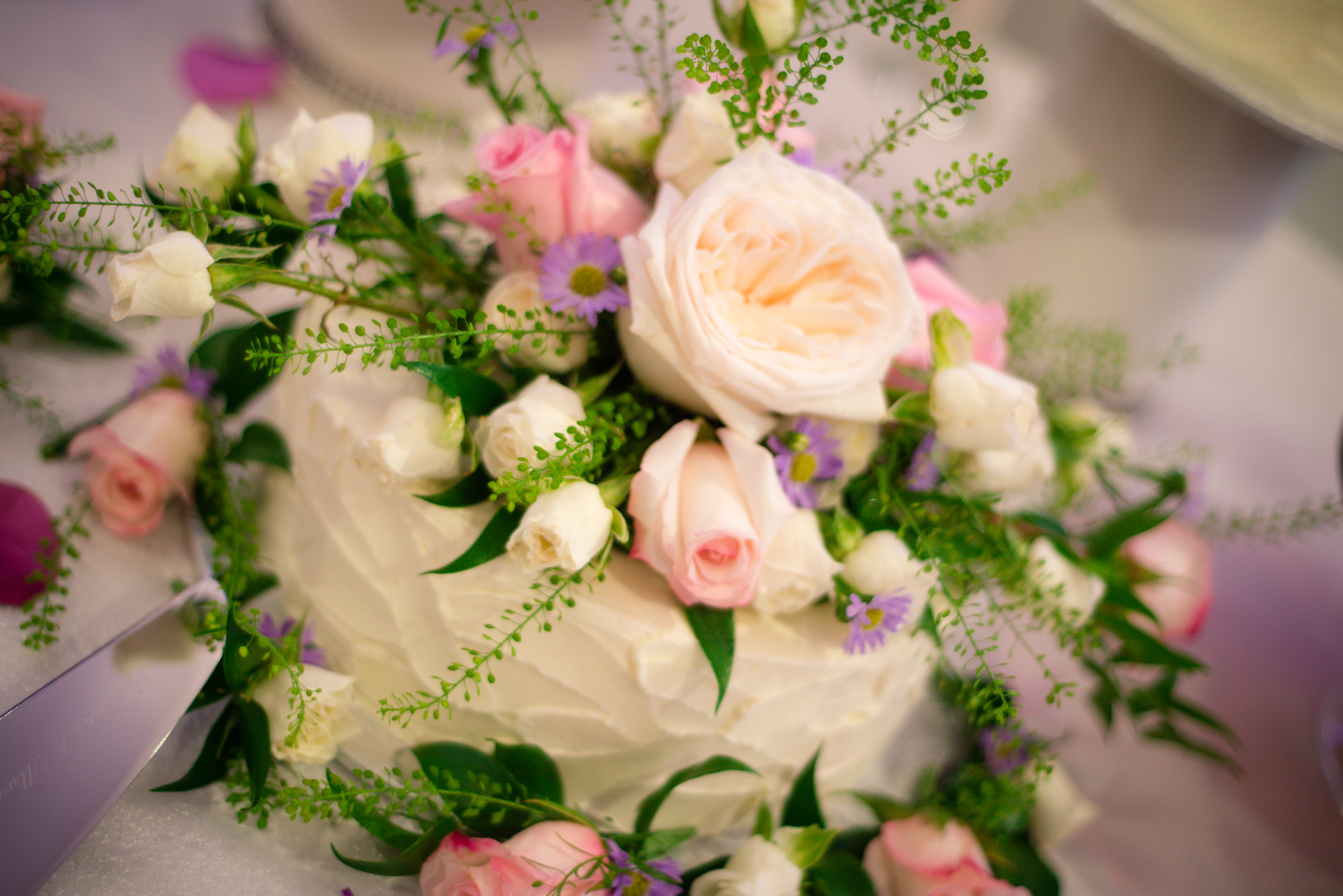 Chris & Samantha wedding photograph 8 by Toronto Wedding Photographer