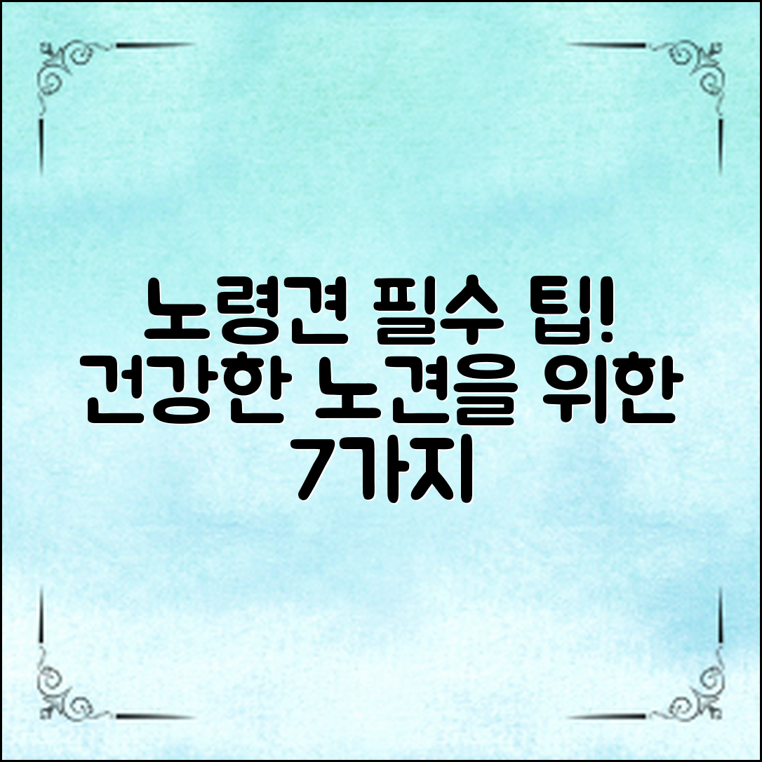 ** 노령견케어가이드: 건강한 노령견을 위한 필수 팁 7가지