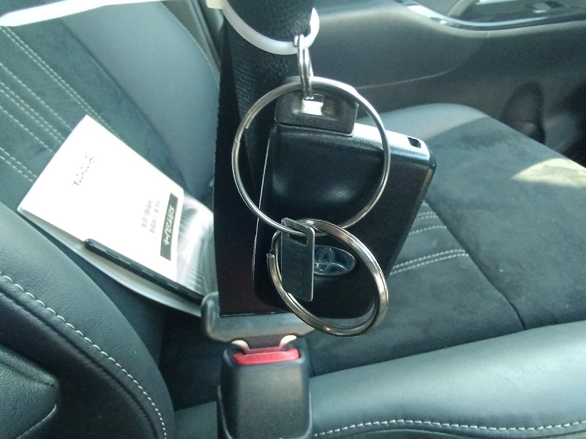 Toyota Esquire