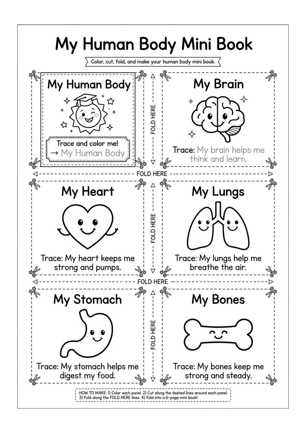 My Human Body Mini Book