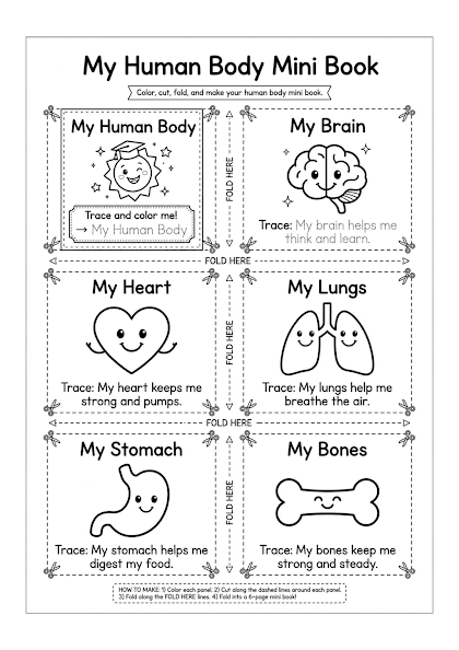 My Human Body Mini Book