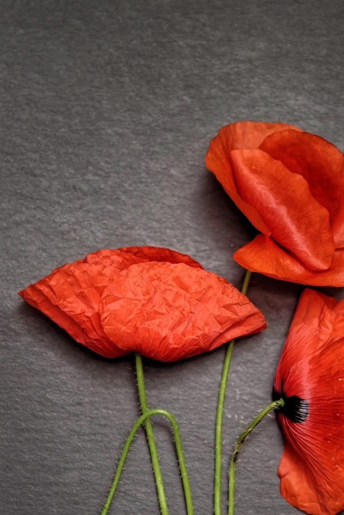 배당소득세 절세를 위한 금융