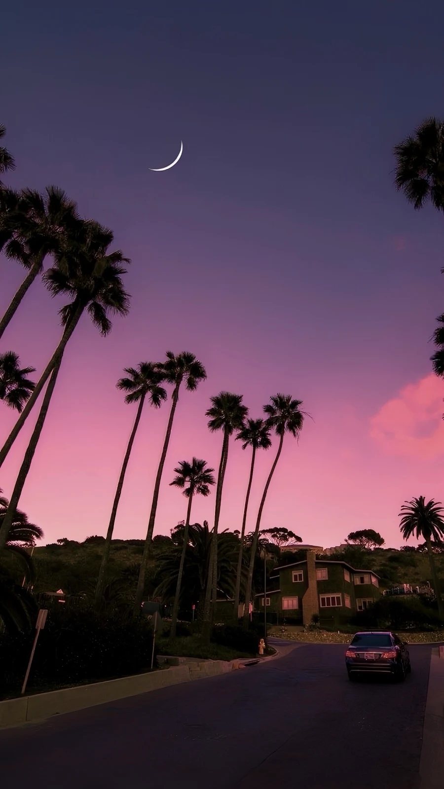 Palm Trees Under Crescent Moon - Twilight Landscape Photography Full HD iPhone Wallpaper (1286x2286)