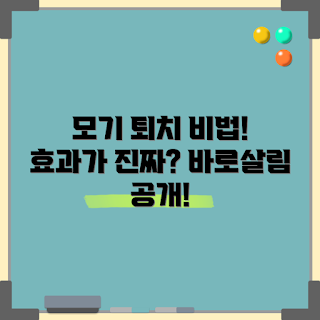 바로살림모기퇴치기, 여름 모기 퇴치, 효과적인 모기 방지, 2023 여름 가전, 실내 모기 대책