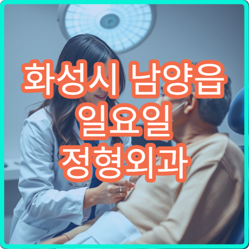 화성시 남양읍 일요일 정형외과 병원 안내 주말 정형외과 진료 정보