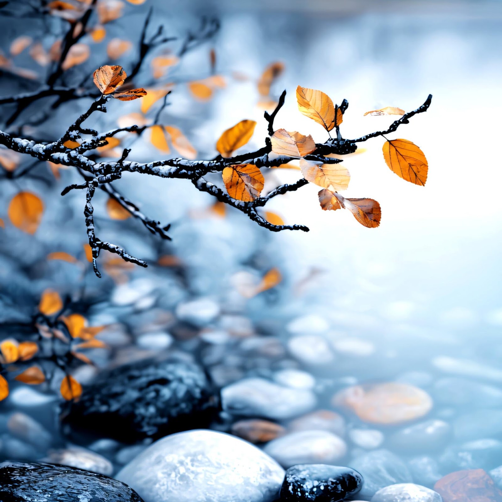 Download Autumn Leaves Over Wet Stones 2K iPhone