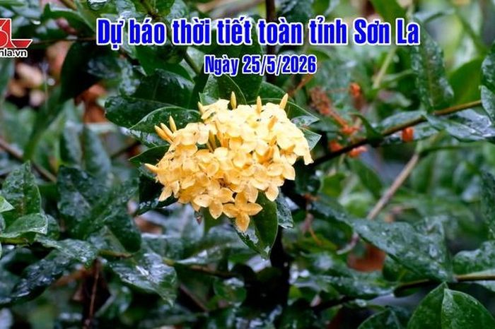 Dự báo thời tiết toàn tỉnh Sơn La ngày 25/5/2026 - Báo Sơn La