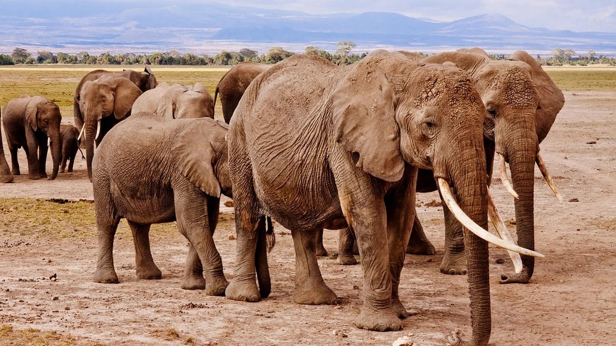 다자녀 가구 혜택 정책 종류와 신청 조건