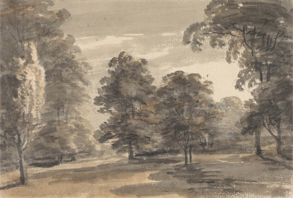 A Glade in a Wood