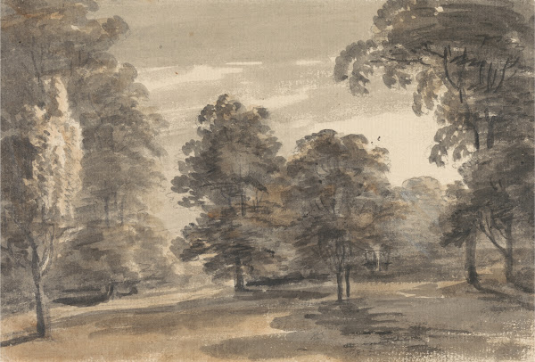 A Glade in a Wood