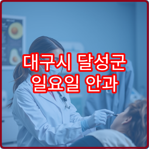 대구시 달성군 일요일 안과 진료 가능한 의료기관을 소개한 정보
