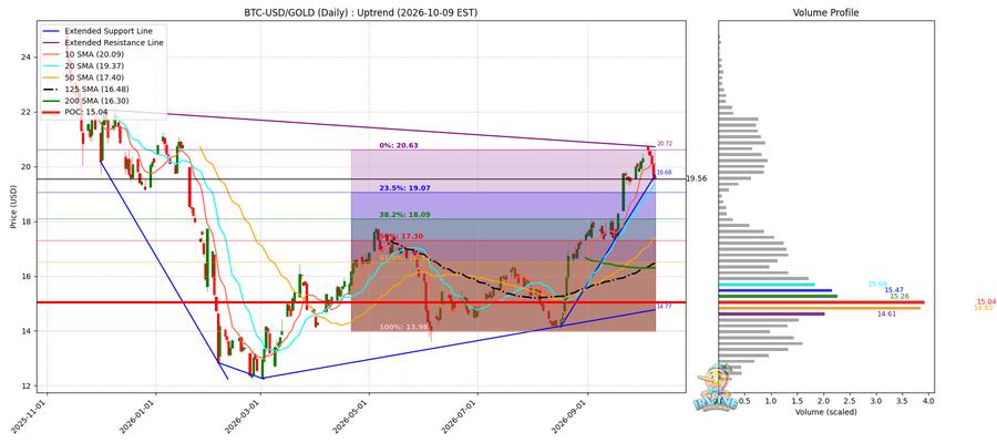 BTC vs Gold 비교