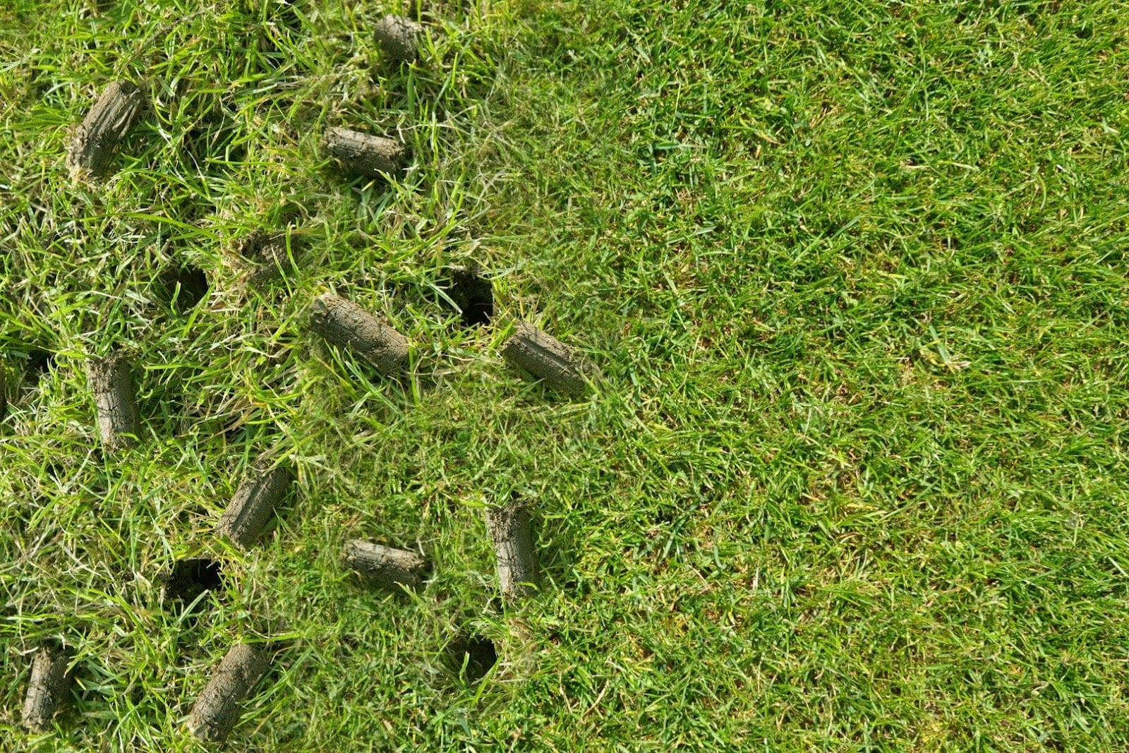 Aerator machine on lawn