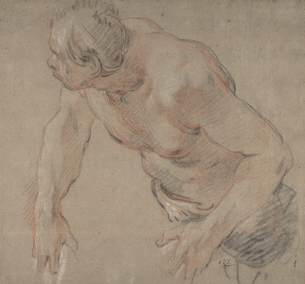 Half Figure of a Man Nude to the Waist 18th century