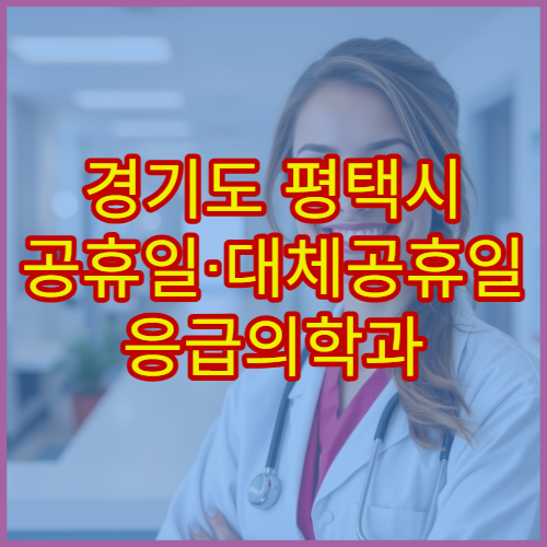 경기도 평택시 공휴일·대체공휴일 응급의학과 진료 휴일 응급환자 진료 가능