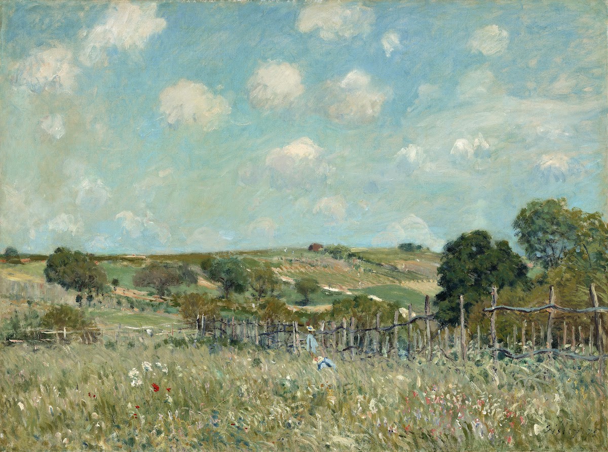 Meadow 1875