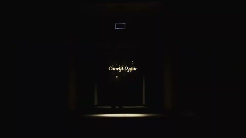 Canlı Performans 2
