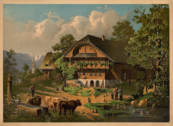 The house and its surroundings 1881