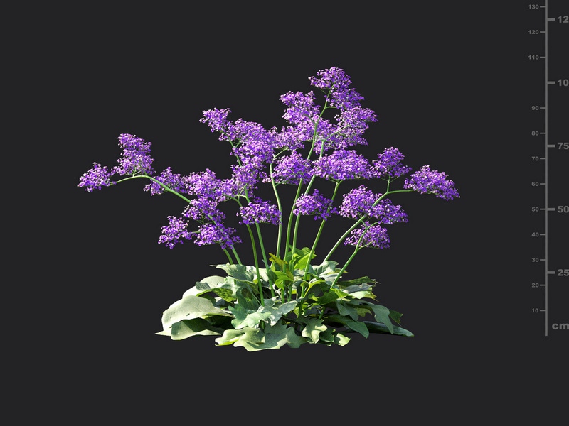 Maxtree - Plant Models Vol.115